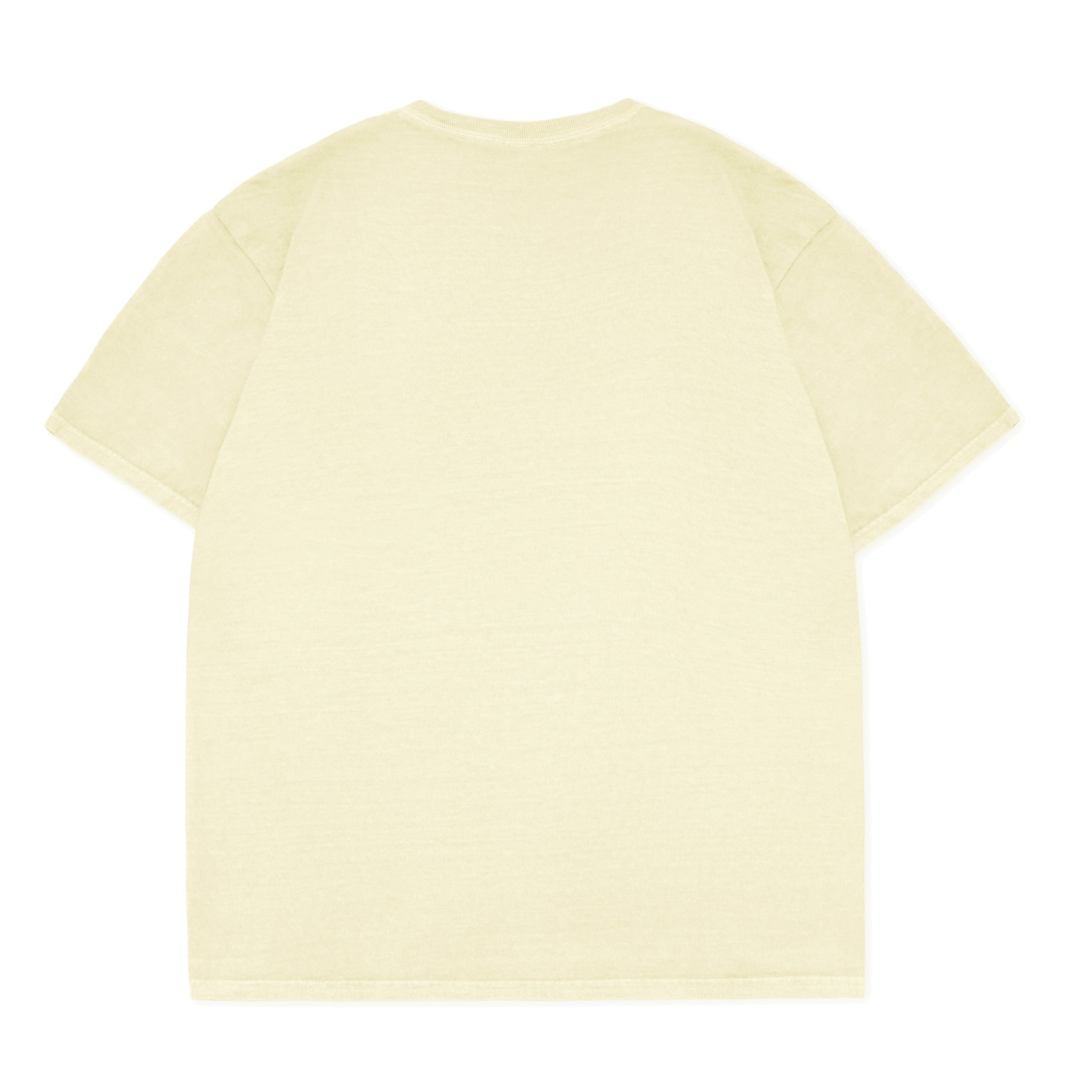 Cotton Collective Vintage Ivory 6.0 oz Tour S/S Tee Back View