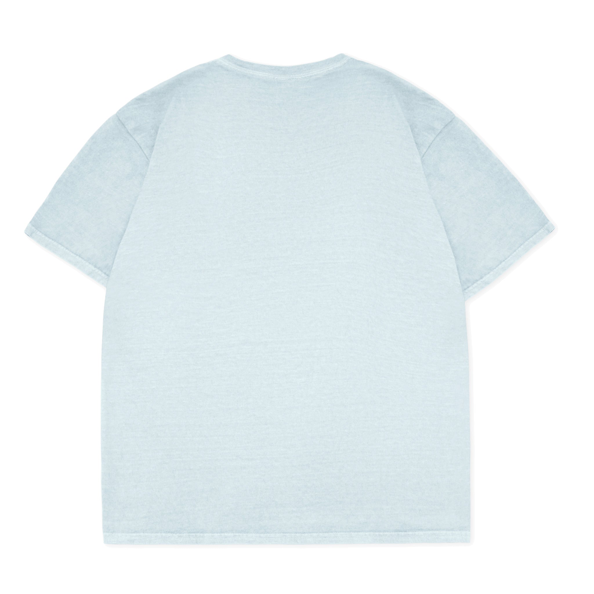 Cotton Collective Vintage Sky 6.0 oz Tour S/S Tee Back View