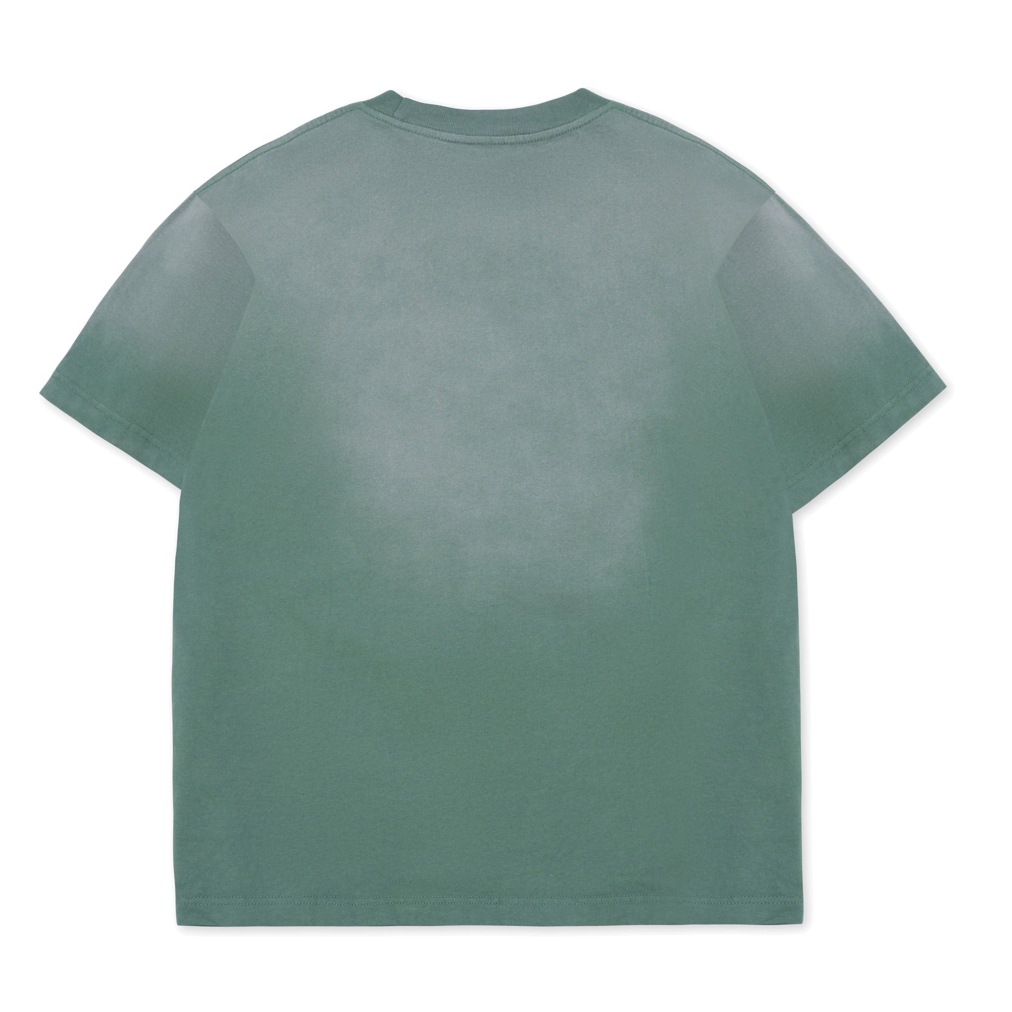 Cotton Collective Potassium Green 7.5 oz Oversized Box S/S Tee Back View