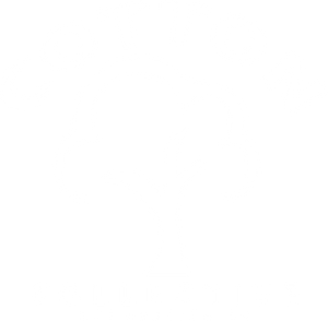 cottoncollective.org 
